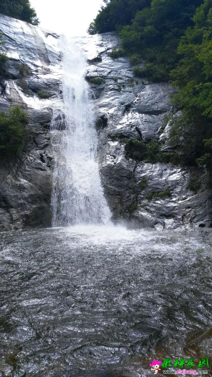 379887009270542561.webp