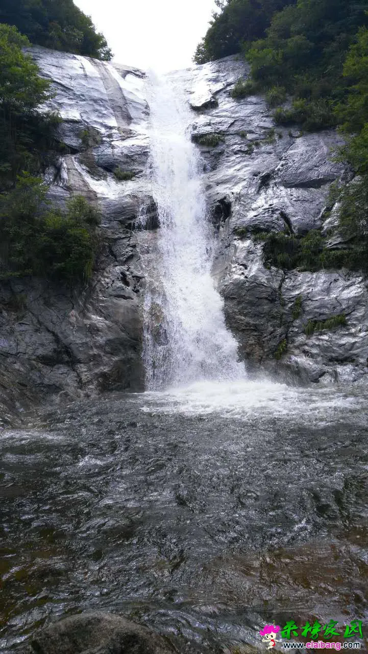 432240900685532221.webp