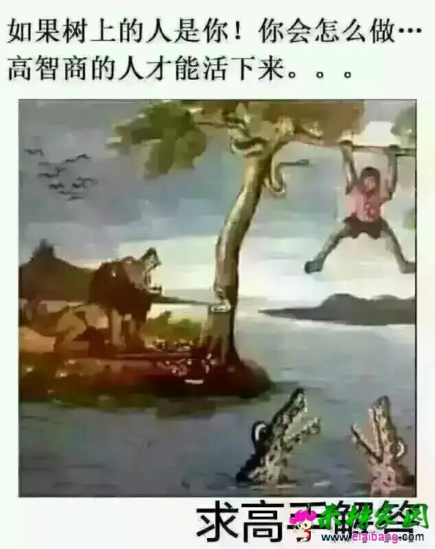 142116zuuzuxu8zhga9u1q.webp