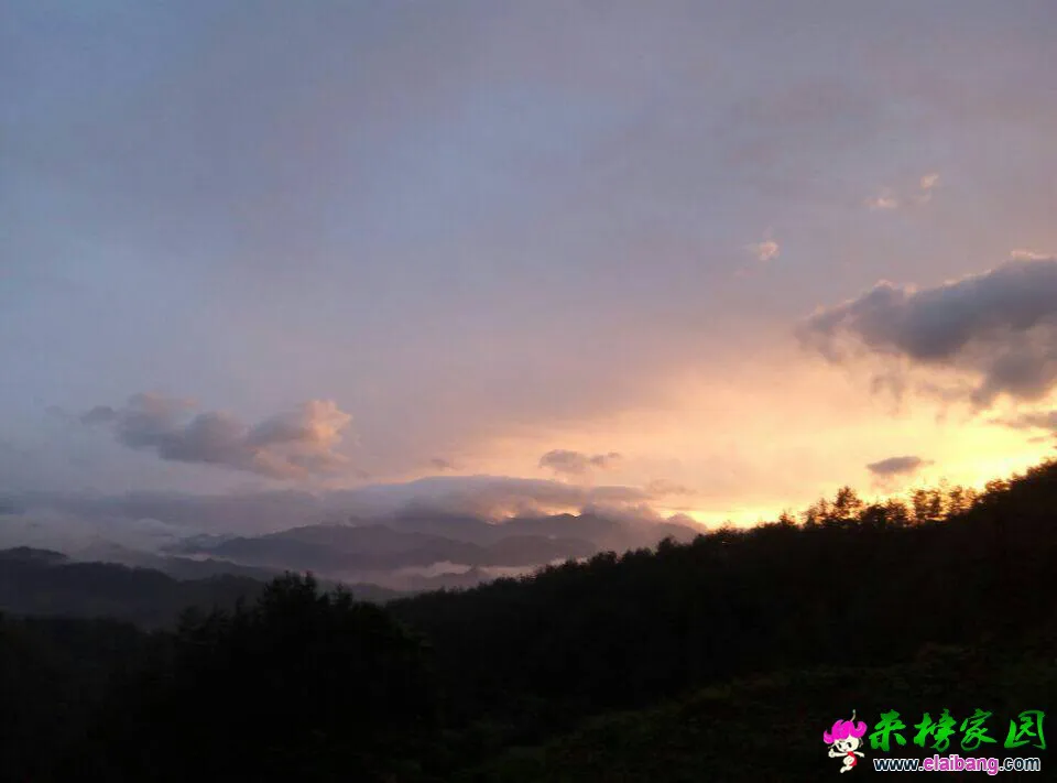 194011s64d01dprvnv9rmu.webp