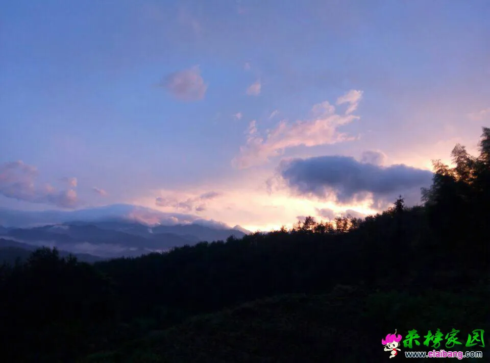 194011w8ptpi6tih33azzh.webp