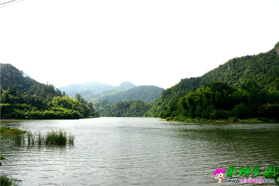 DSC_6084.webp