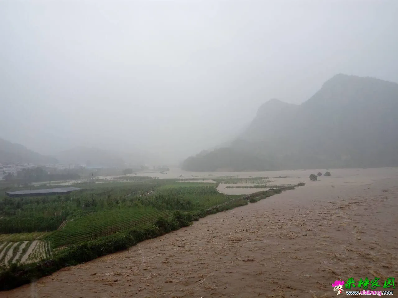 QQ图片20160701170254.webp