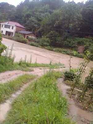 165028328768490789.webp
