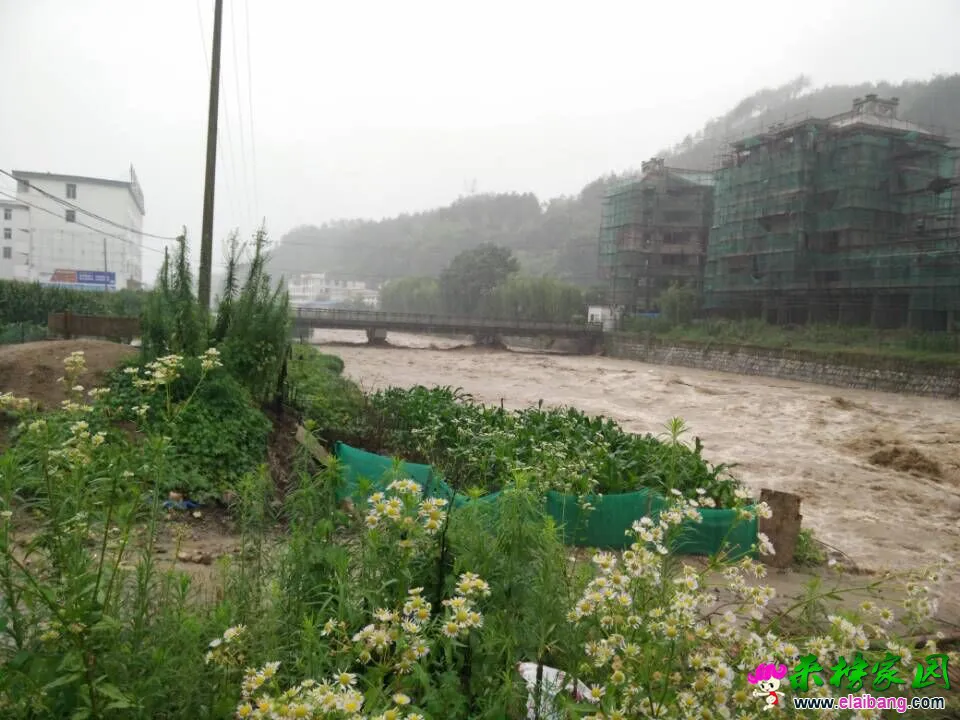 QQ图片20160701185122.webp