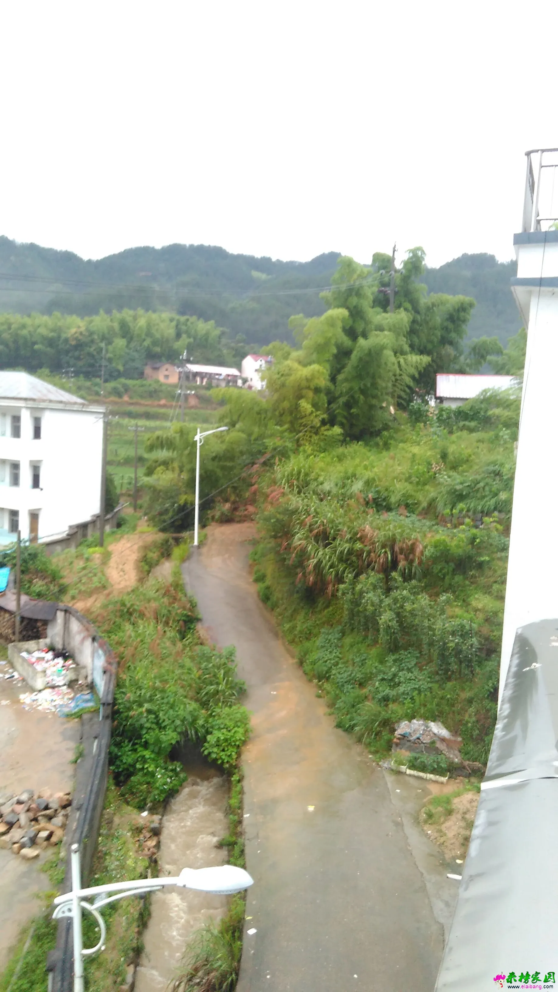 QQ图片20160702063734.webp