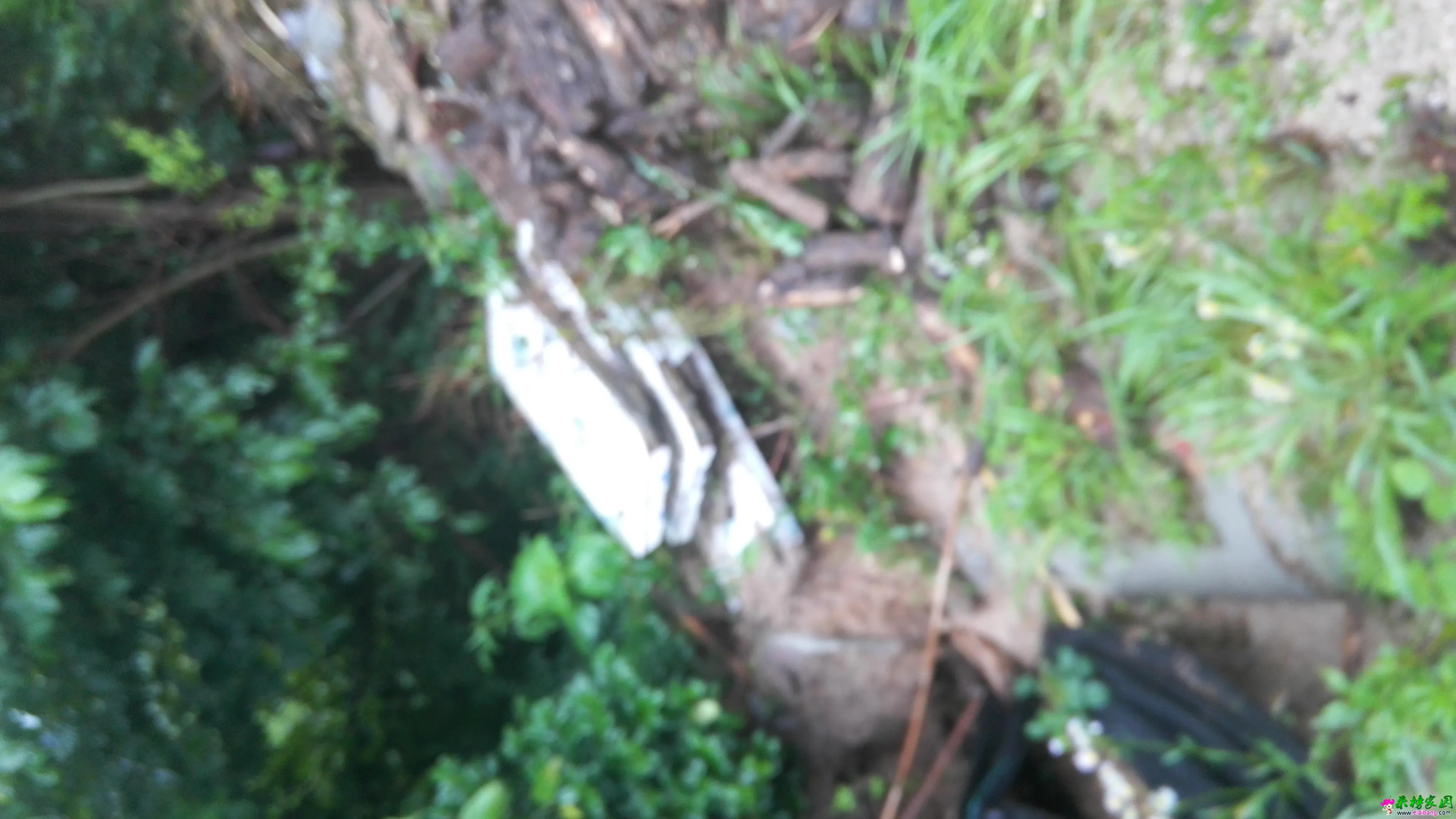IMG_20160702_063933.webp