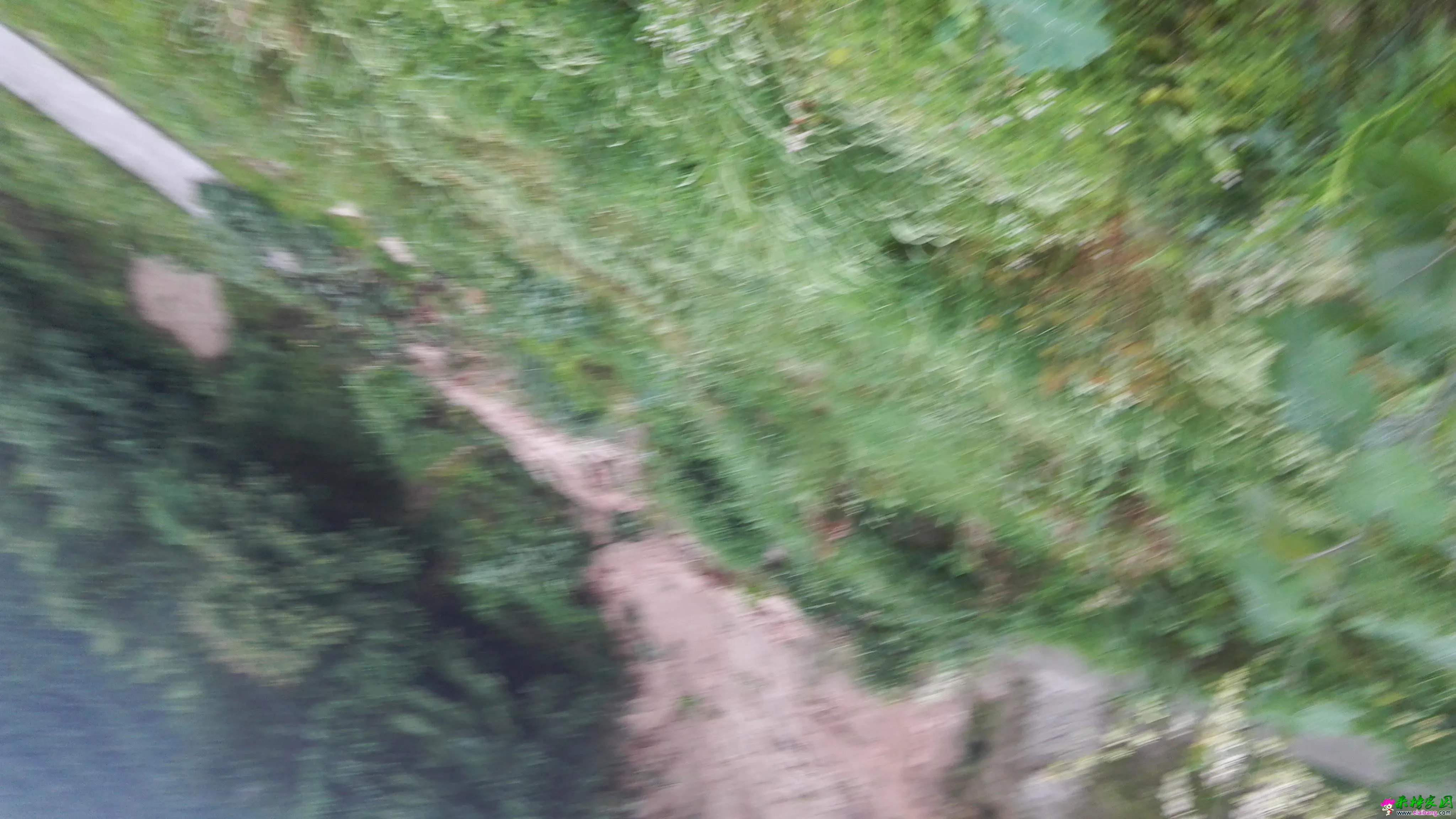 IMG_20160702_064040_3.webp