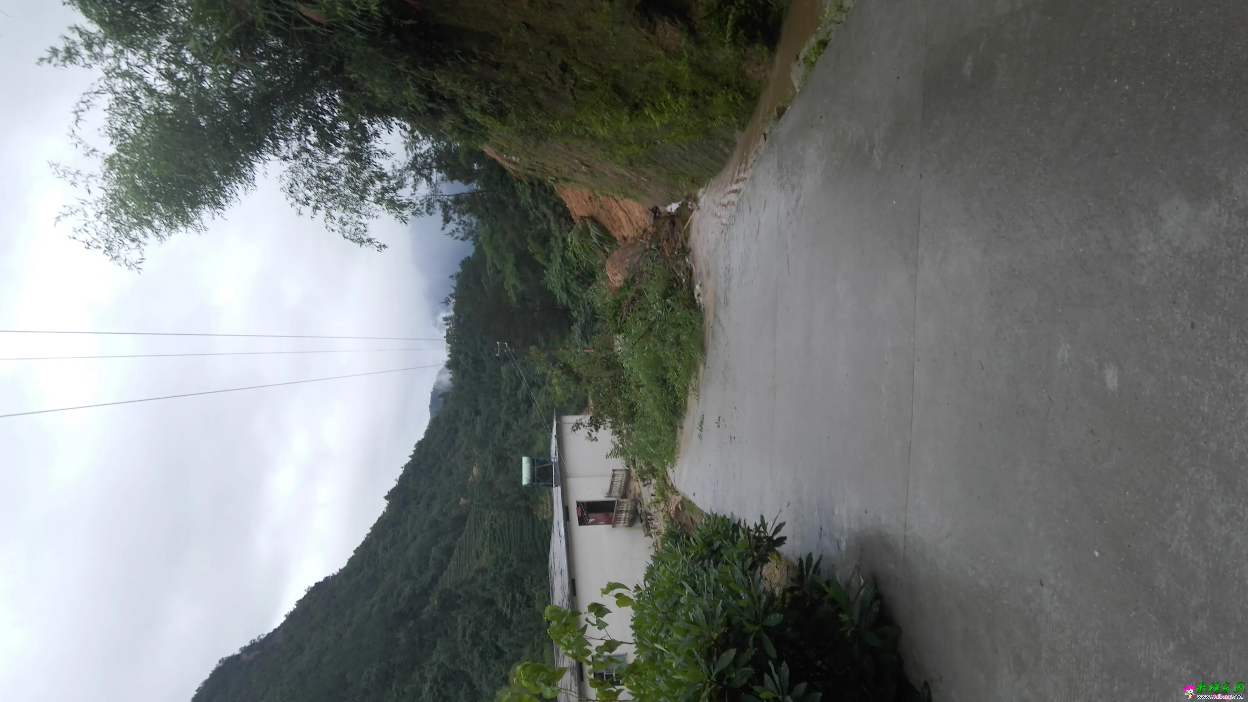 IMG_20160702_064507.webp