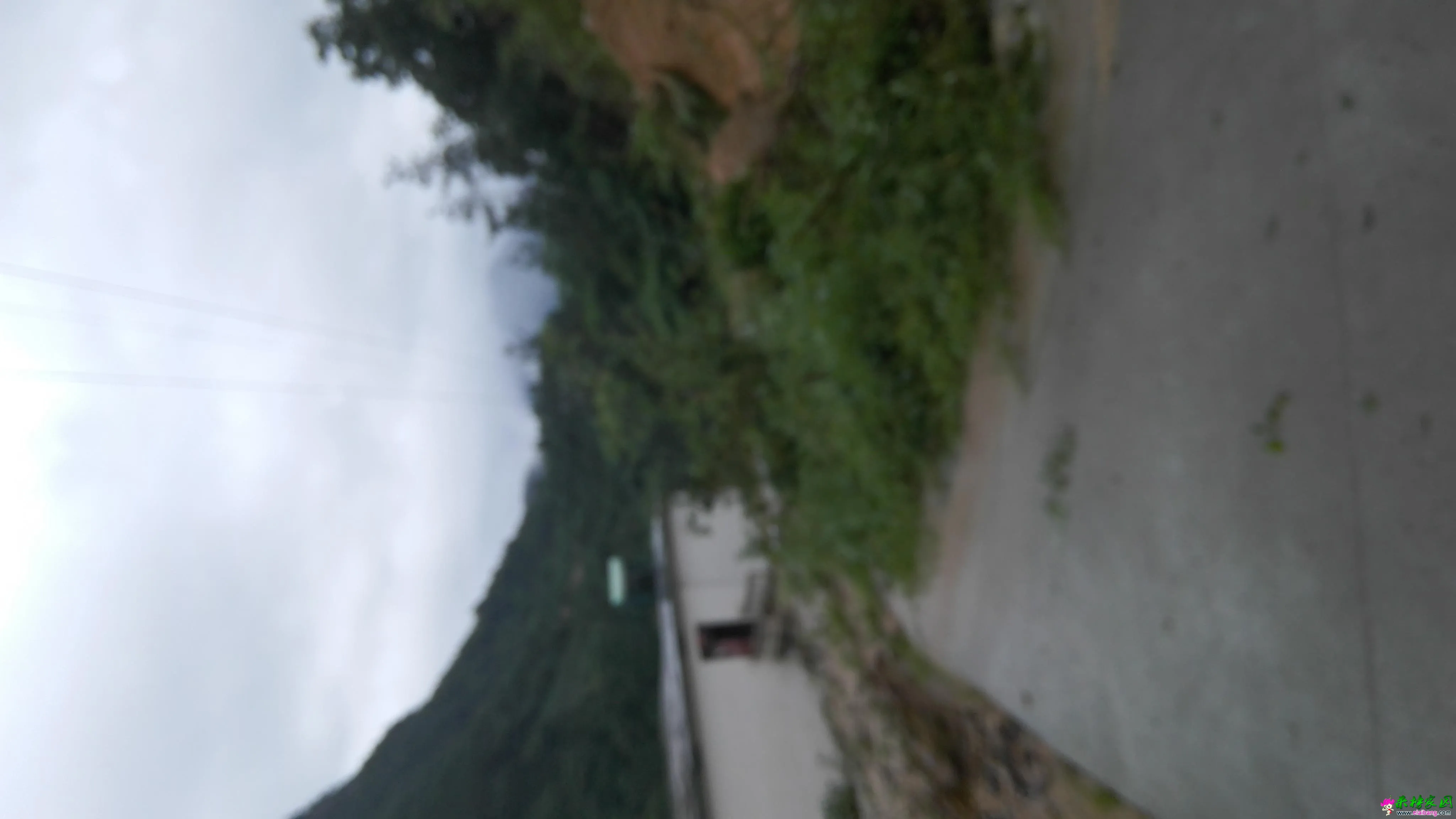 IMG_20160702_064527.webp