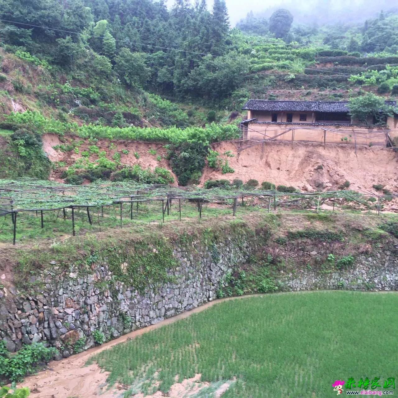 QQ图片20160702094917.webp