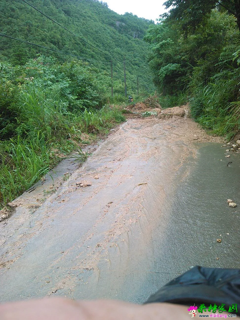 110859lmuutglgajuowwaf.webp
