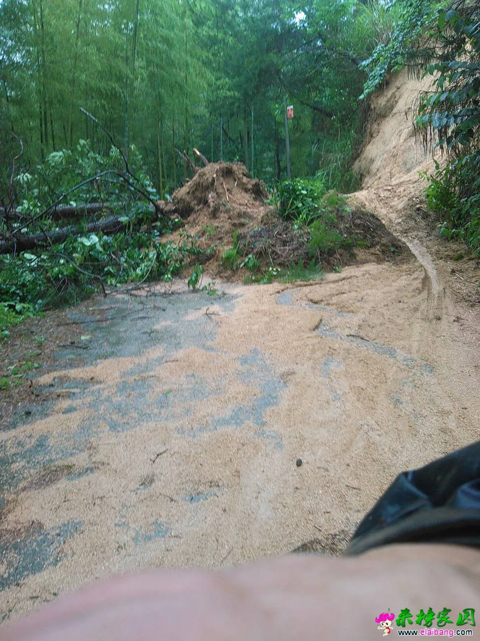 110900daafvaocnp4zeoxz.webp