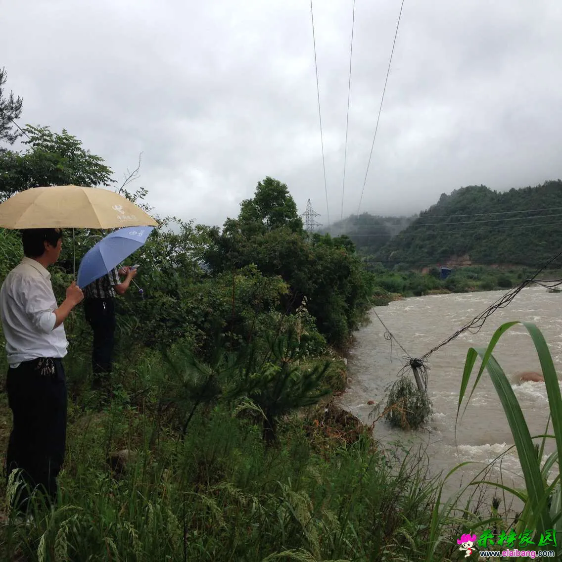 QQ图片20160702122155.webp
