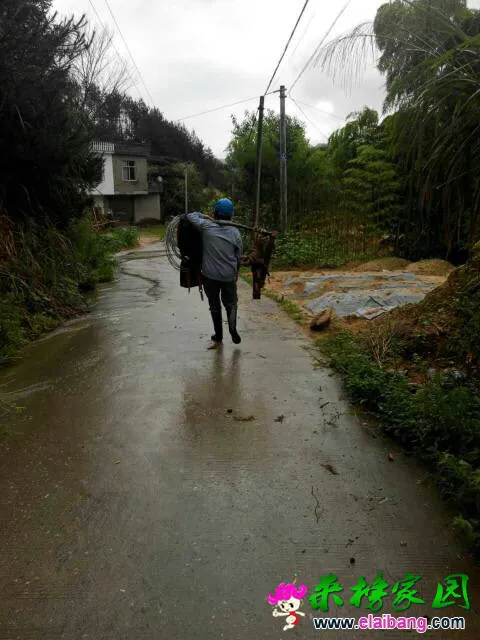 143446pff1pjjjpea2jb88.webp