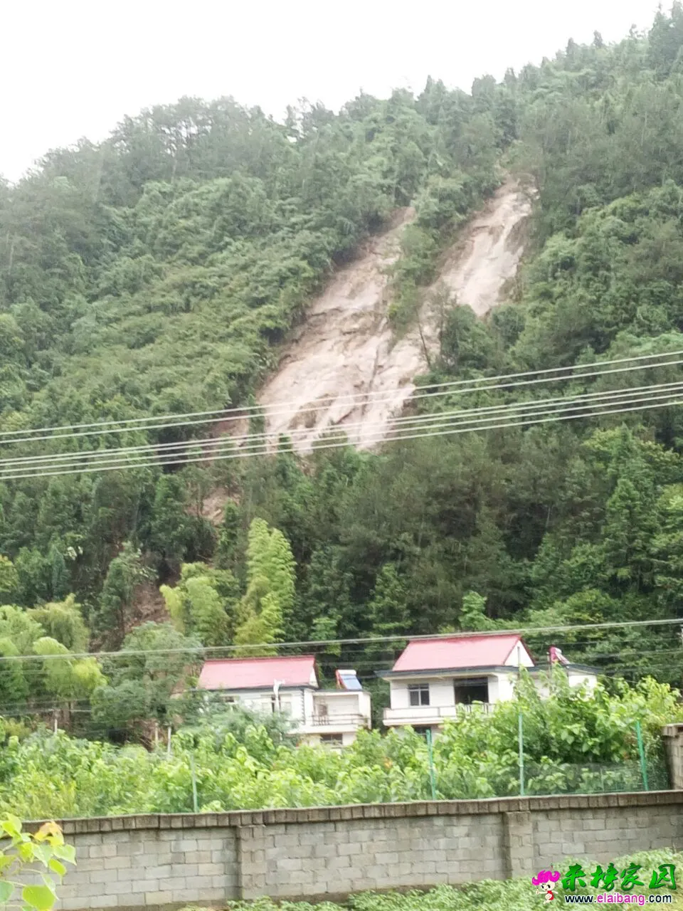 大会组山体滑坡