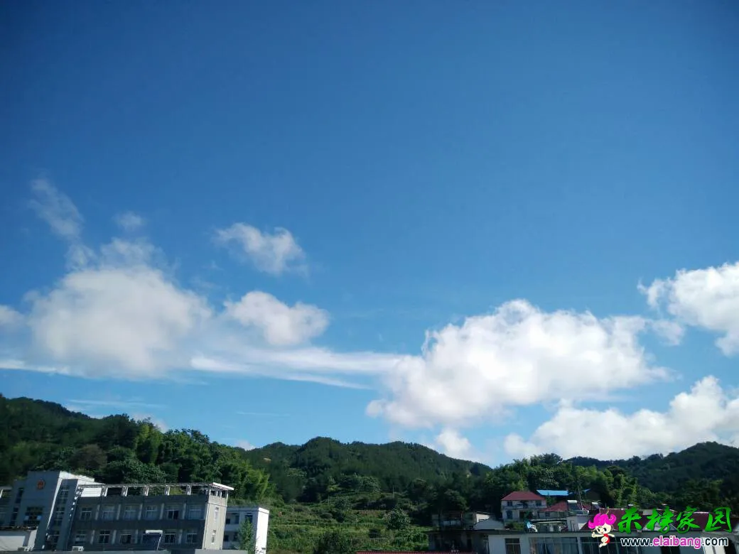 094125kxnkjecp1p9p8ptt.webp