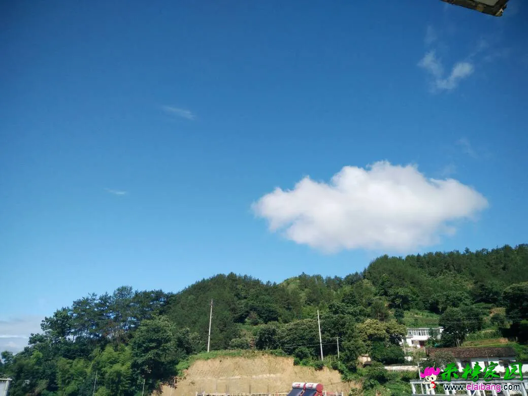 094126dks3my33n5xspmx3.webp