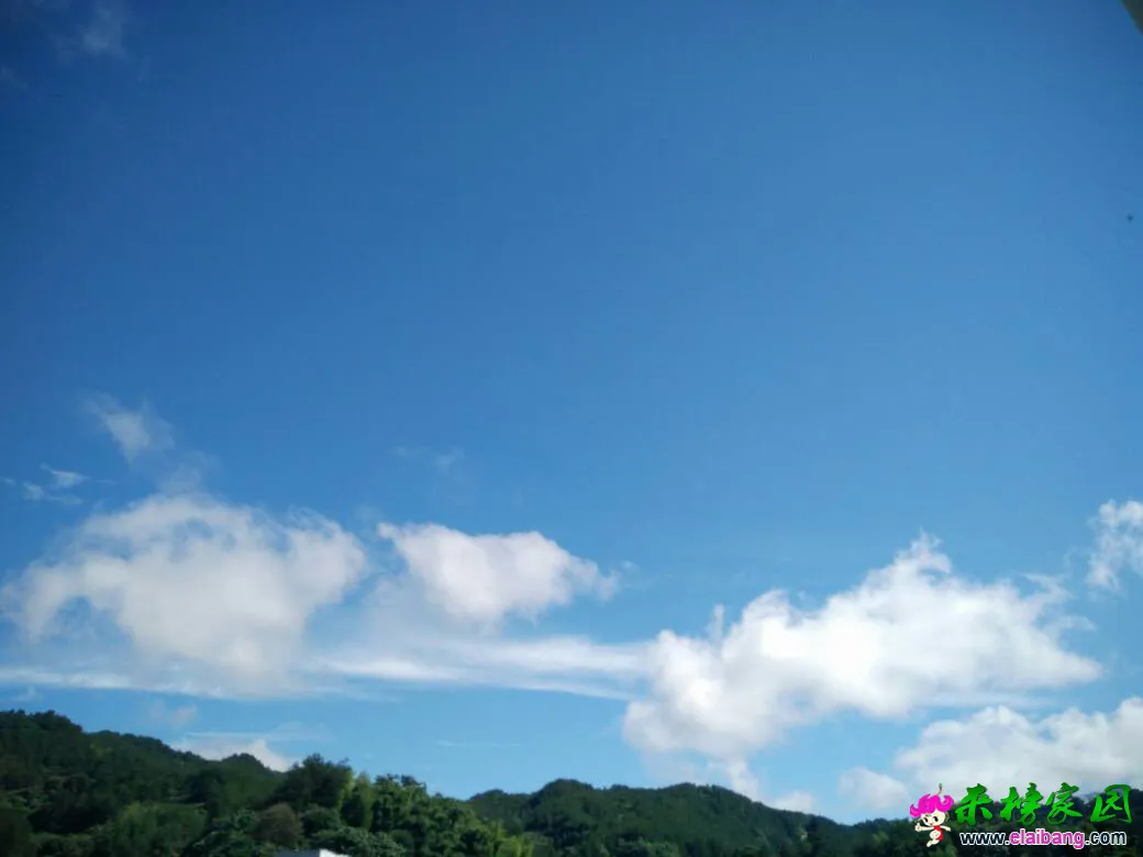 094126ue255jsrwojew5ze.webp