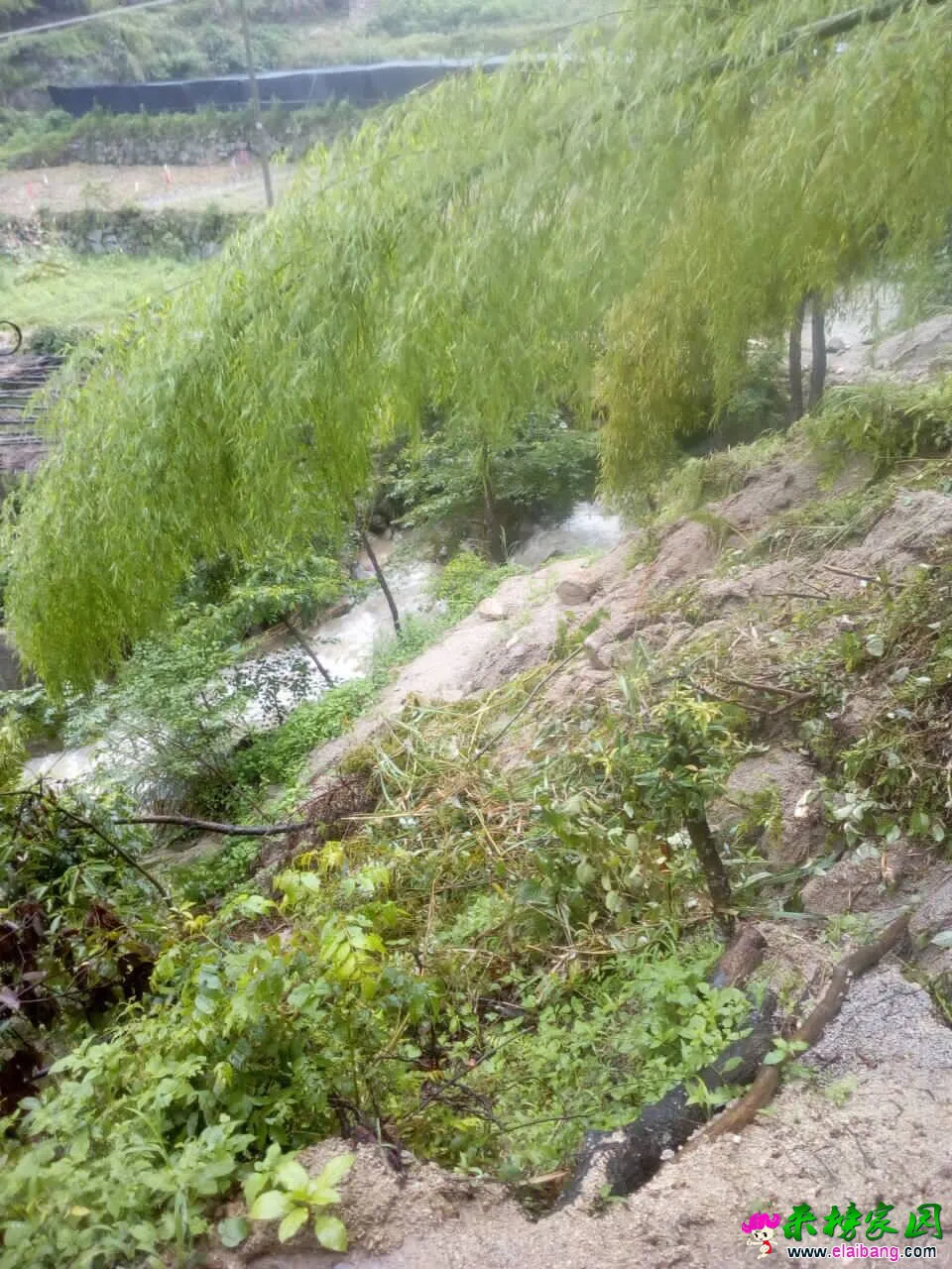 QQ图片20160704122218.webp