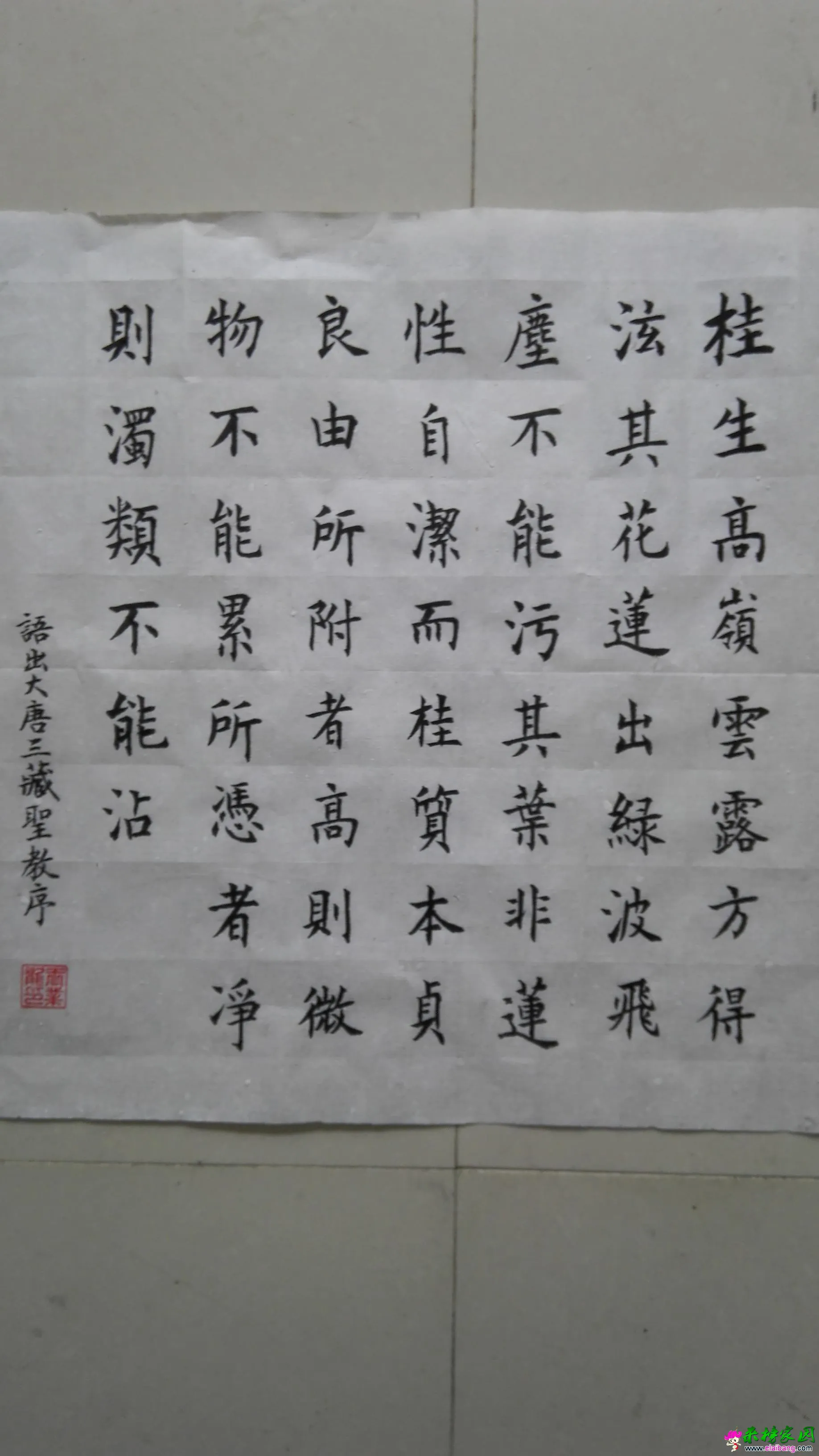 语录大唐三藏圣教序