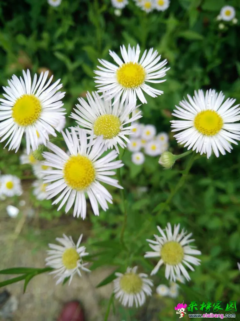 123920jmatuauxxju3f9g3.webp