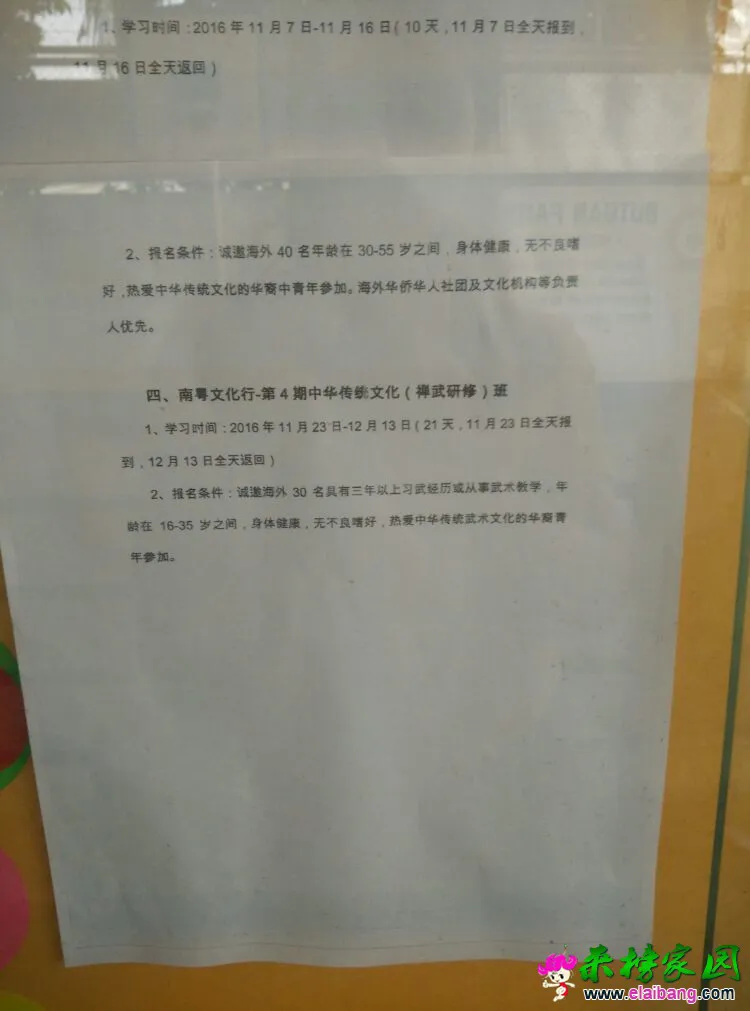 1 (1).webp
