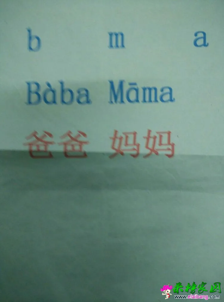 1 (14).webp