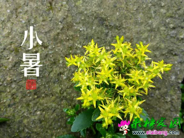 180450ecpmfmp8e87s3fc6.webp