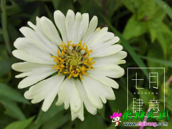 180450edtufoz8oeqqjosa.webp
