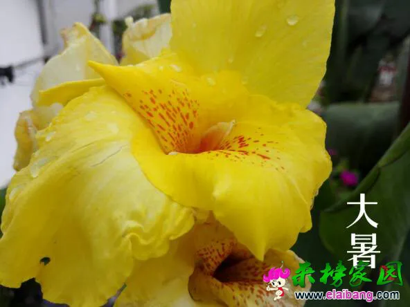 180450sd530d05pxrj2dde.webp