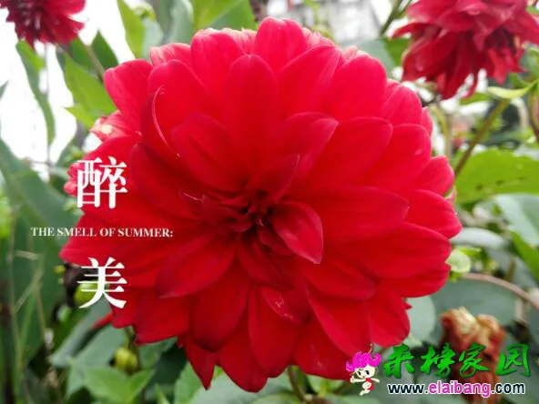 180604w0hasiiuyx20gyx6.webp