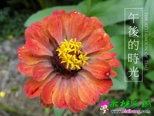 180605d83ptcz1m8kp8chv.webp