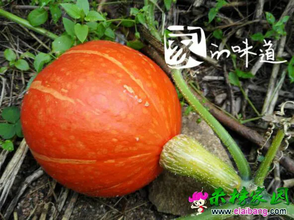 180605o2f2qe1zhuw8h2o2.webp