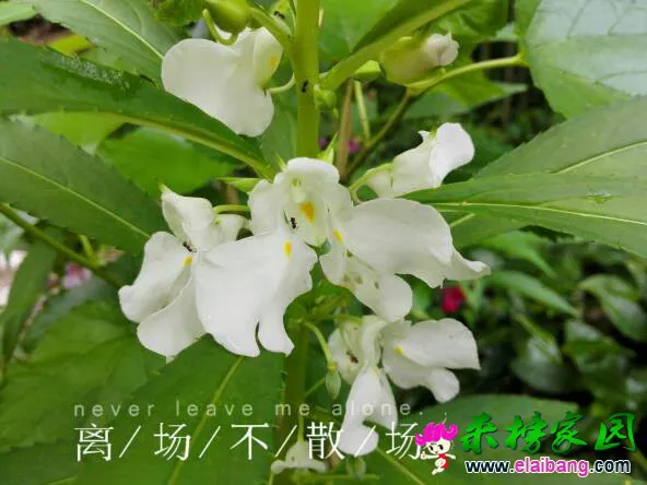 180605ypnzf3znuods5wnw.webp