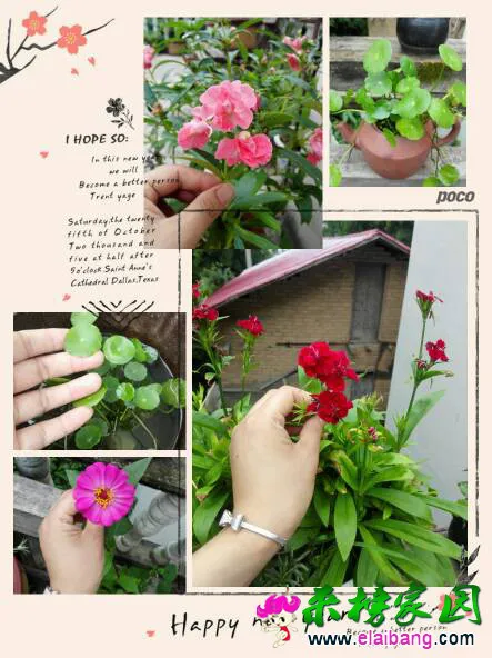 181014fwuxodq94u0qt207.webp