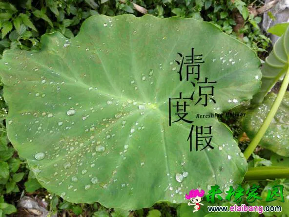 181014mq9q9htm91t7dstz.webp