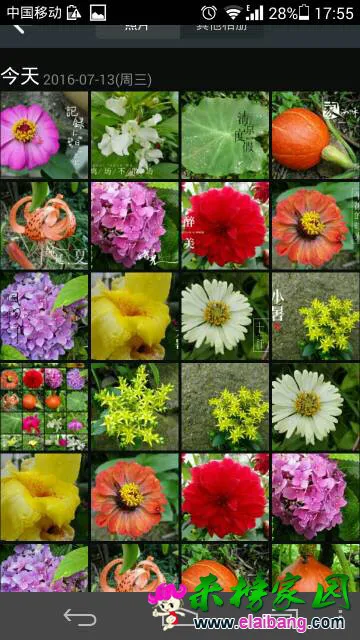 181014wf4sfiis9zidfibs.webp