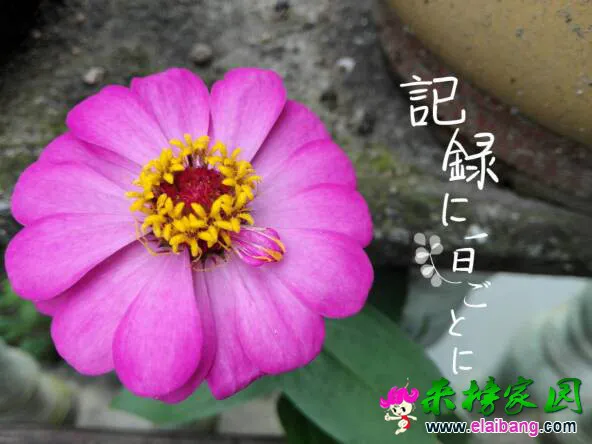 181014zwmqyqhyqbhwqm7h.webp