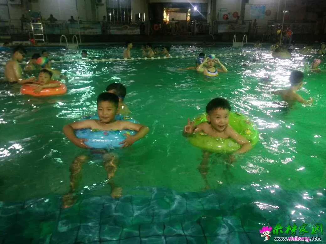 204619vohaooeiw5ya5iar.webp
