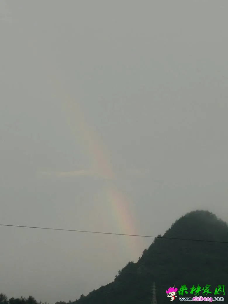 080331sv0odi6trv6hroyh.webp