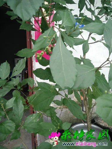 IMG20160709180806.webp