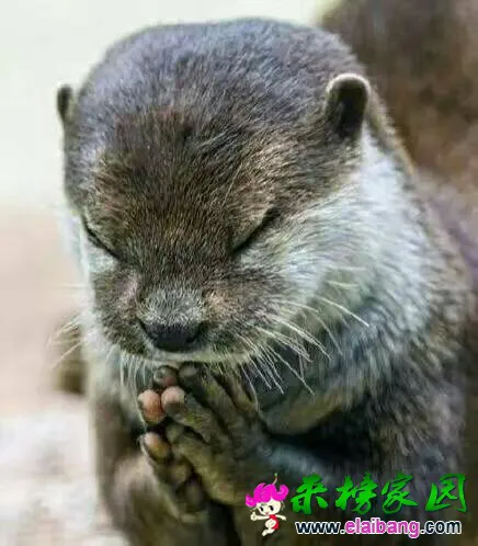 204040ow6wkkwmhiqkymwk.webp