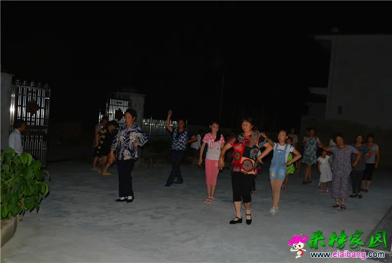 DSC_6856.webp