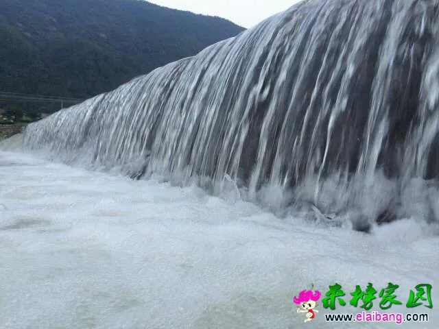 192317x646t7xmqnqbq7xg.webp