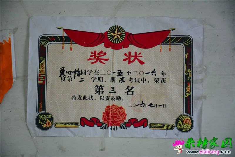 DSC_7020.webp