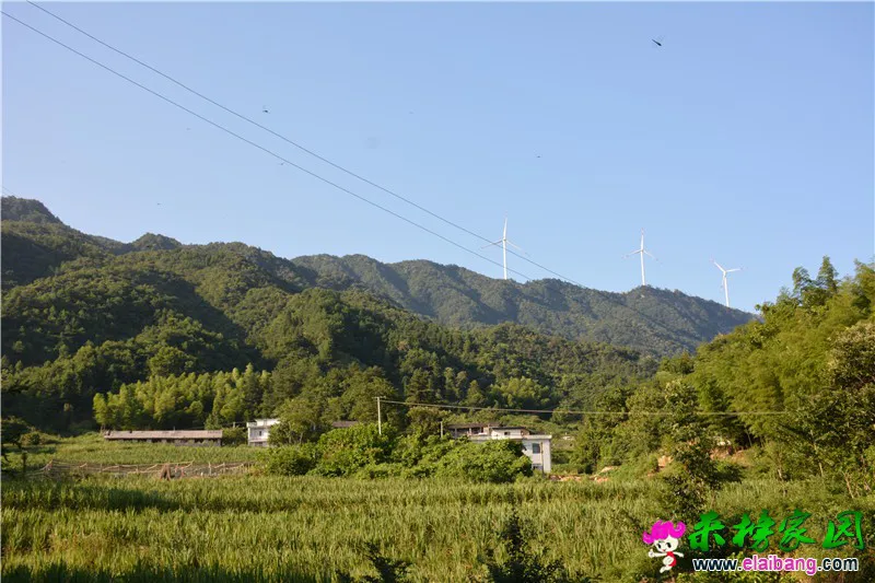DSC_7026.webp