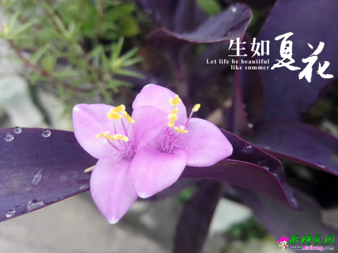 QQ图片20160726083700.webp