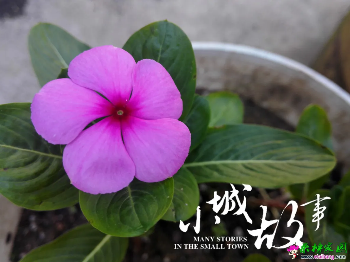 QQ图片20160726083646.webp