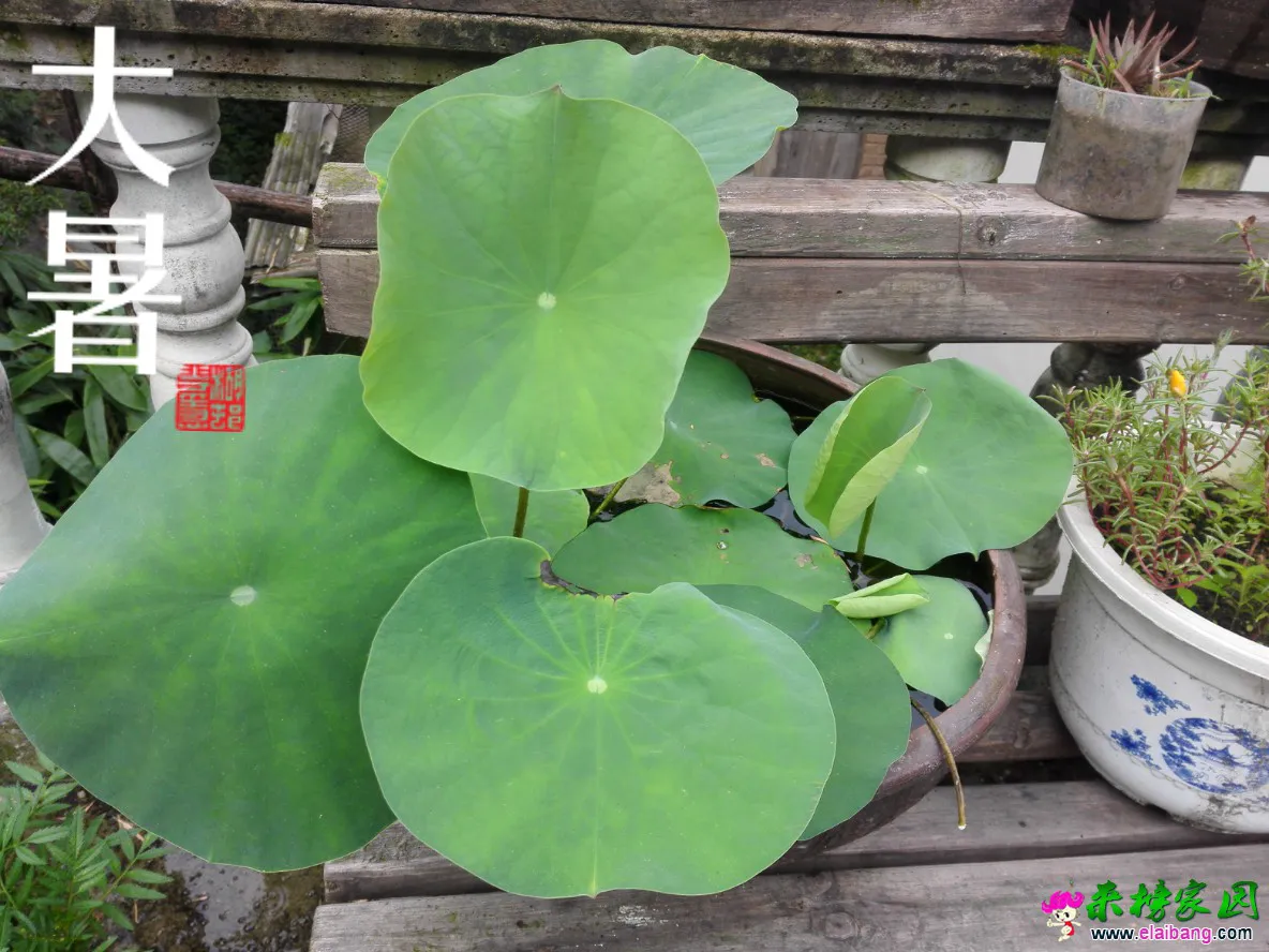 QQ图片20160726083652.webp
